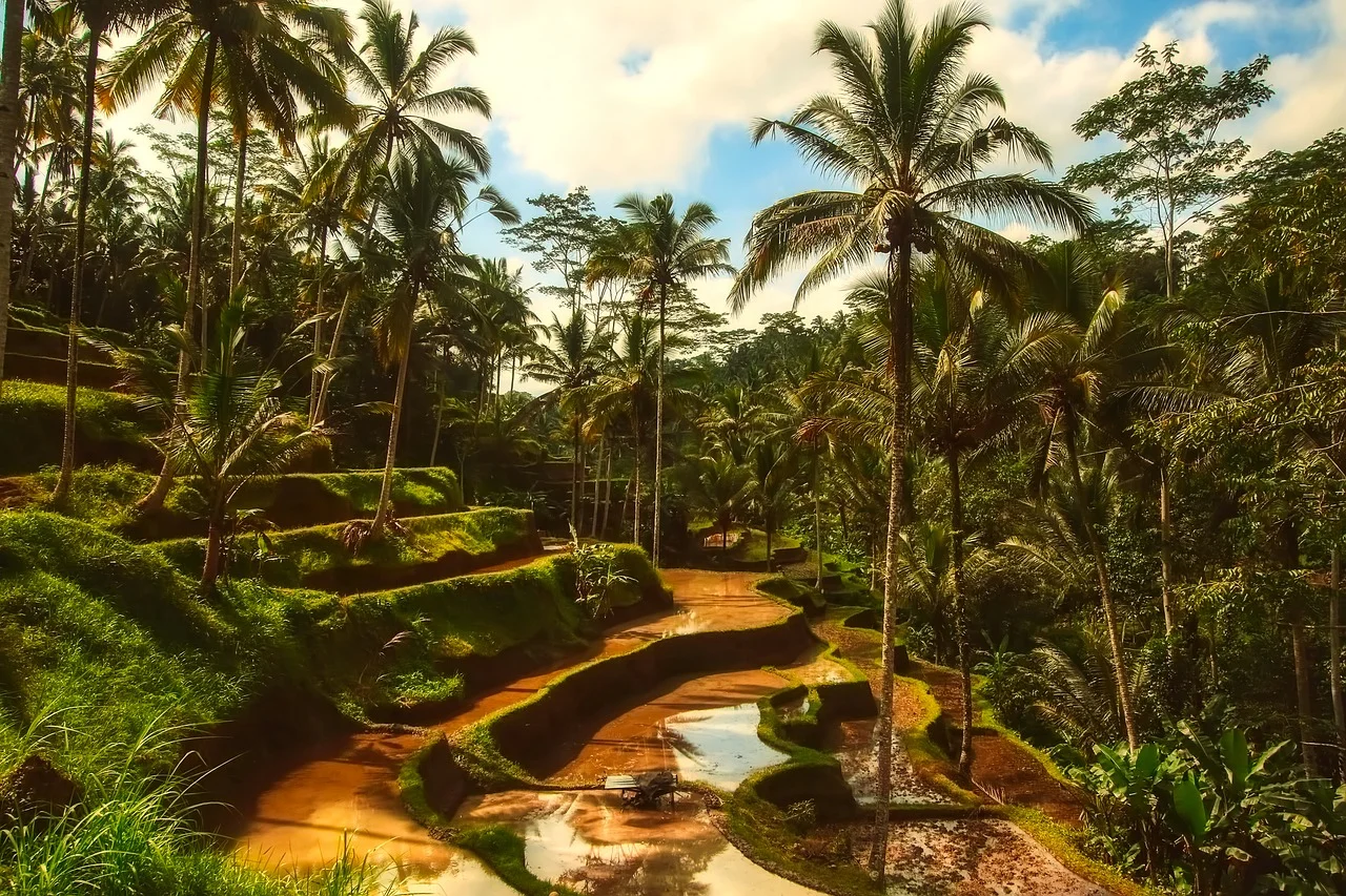 La Isla de los Tesoros. Bali, Indonesia