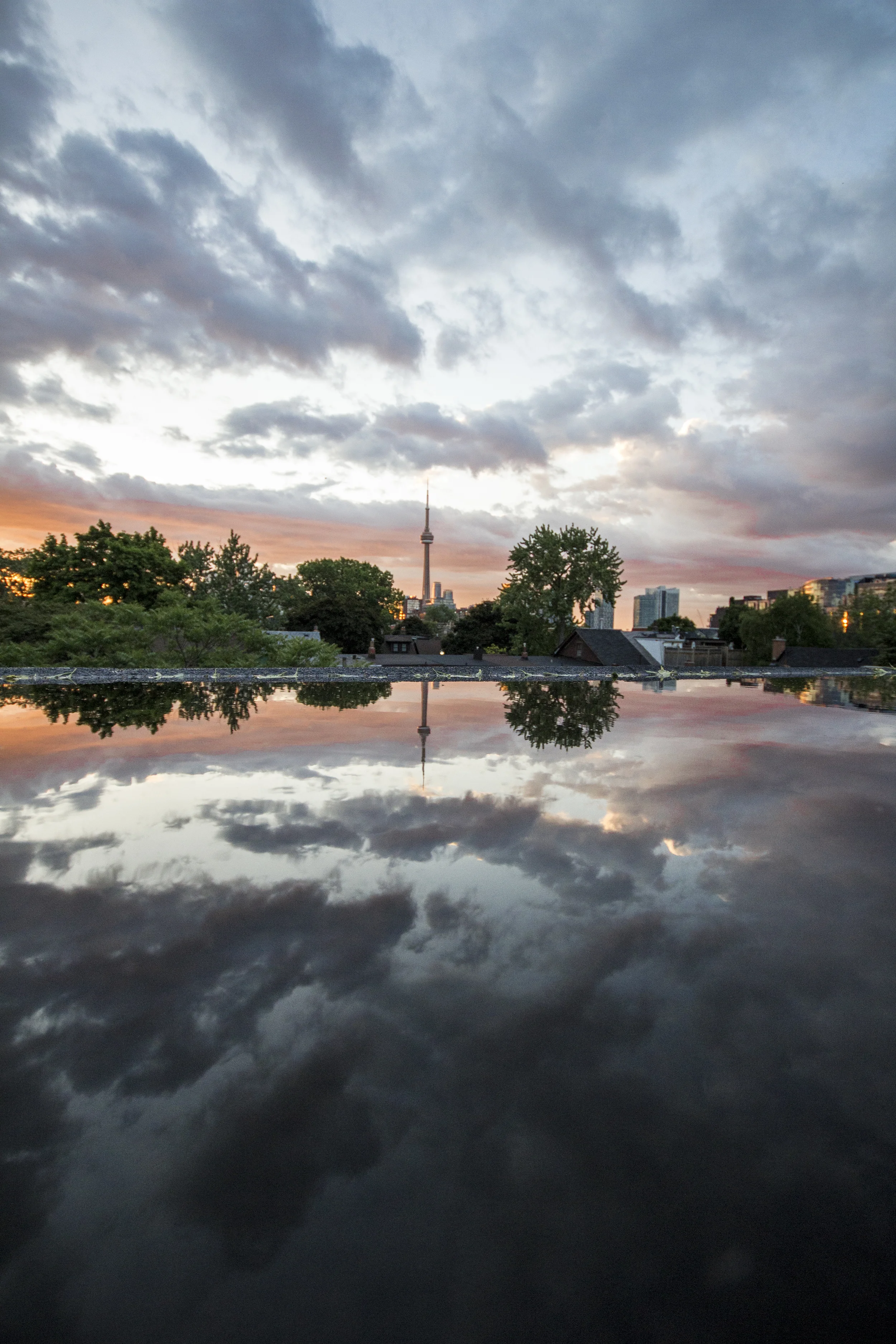 cntowner-puddle.jpg