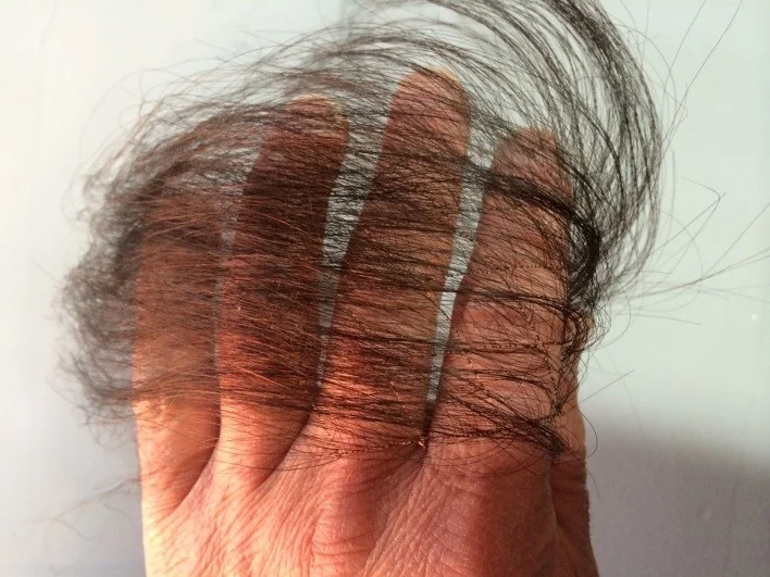 image2.jpg