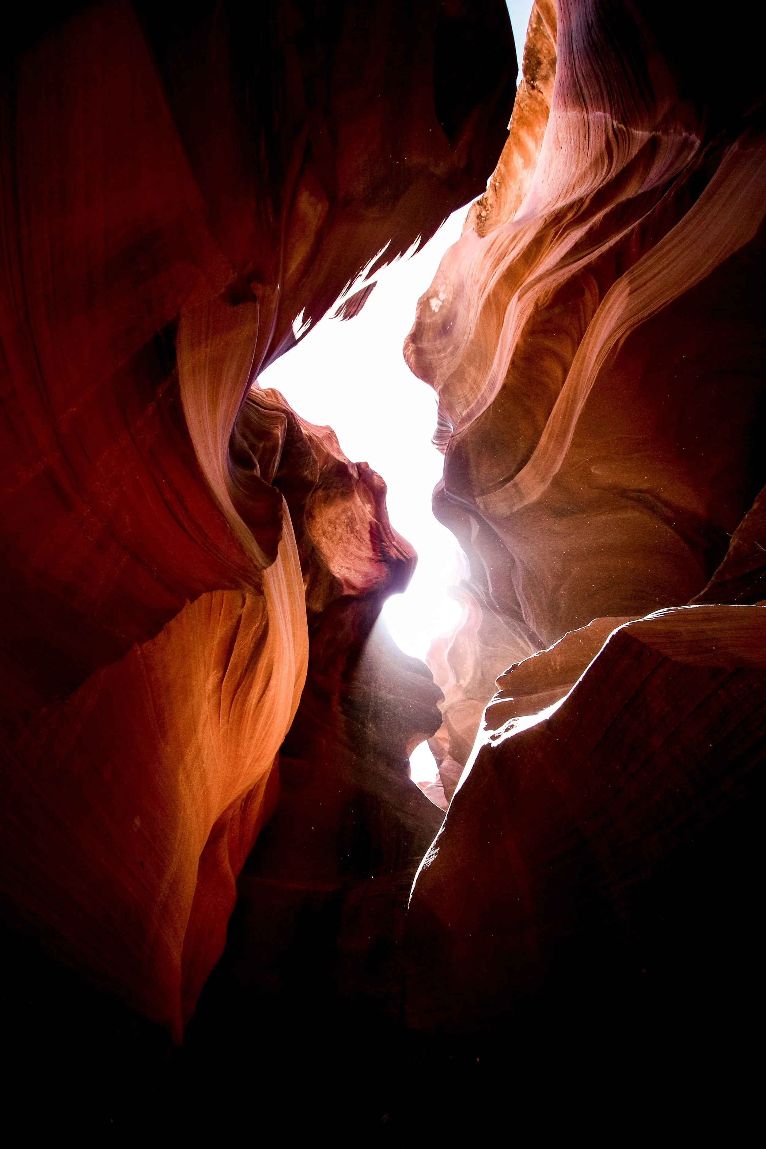 Photo by Jeremy Bishop on Unsplash