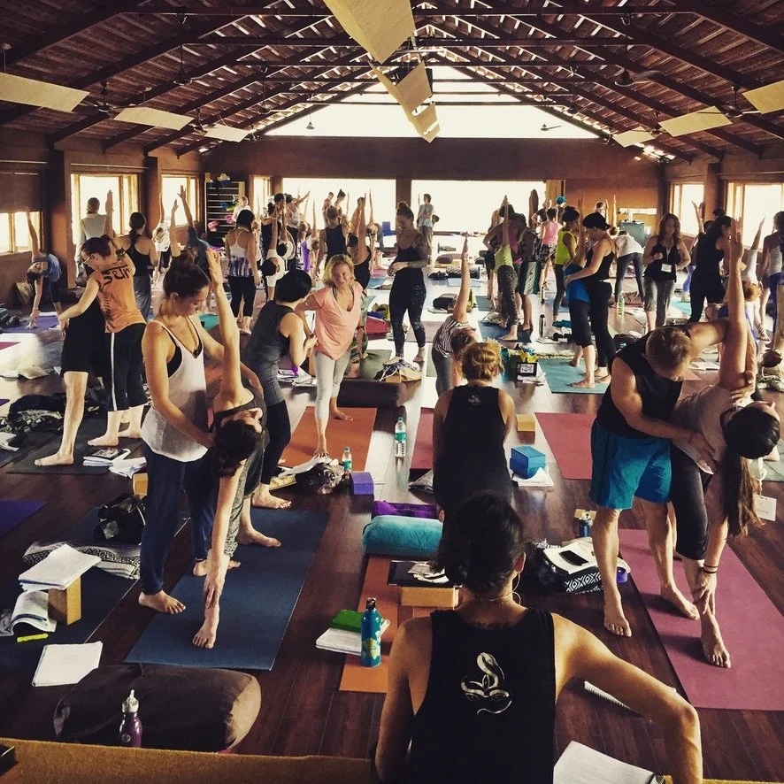 300-Hour Residential Teacher Training, India 2026