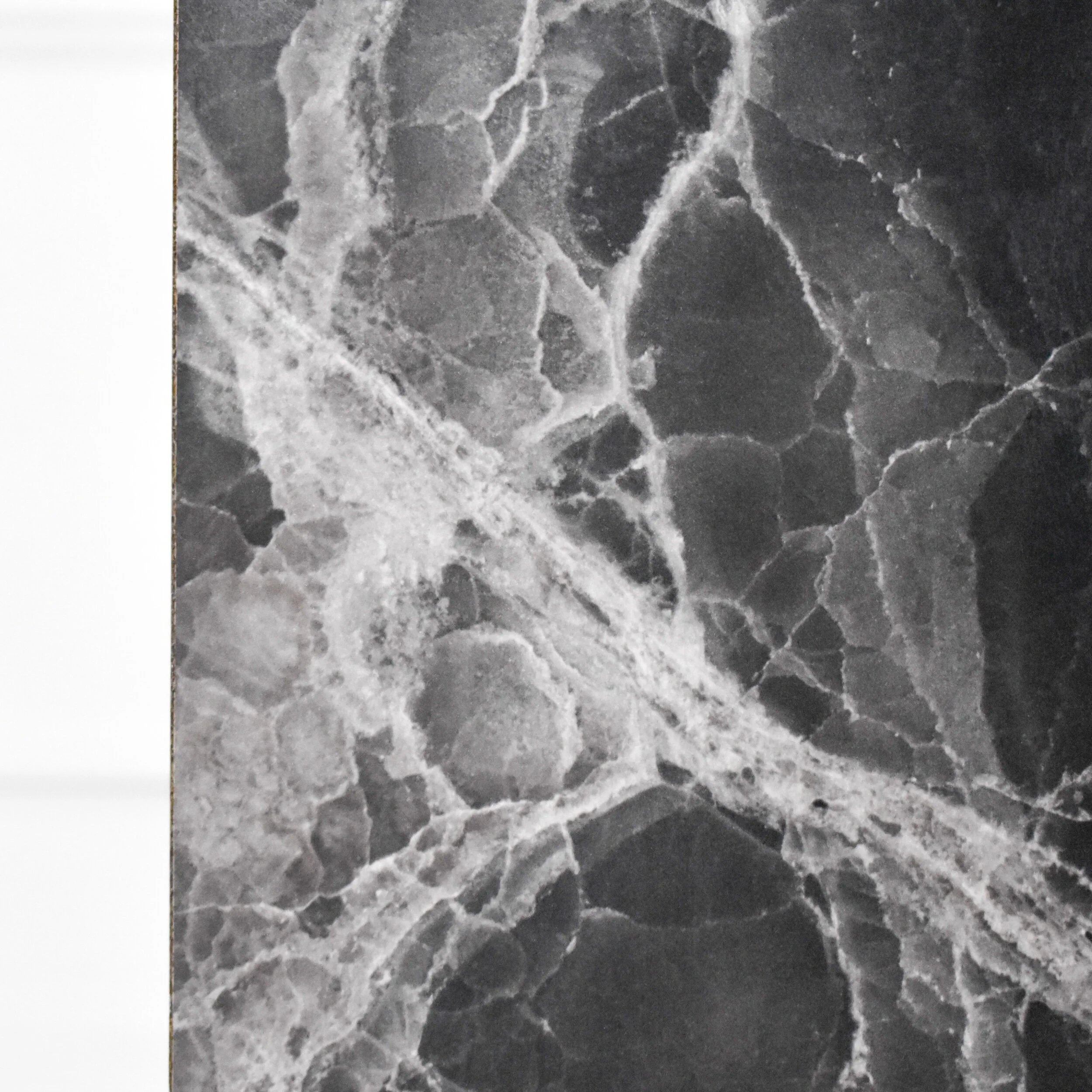 12234062-0915-4AF2-AB23-45602FA1C51E