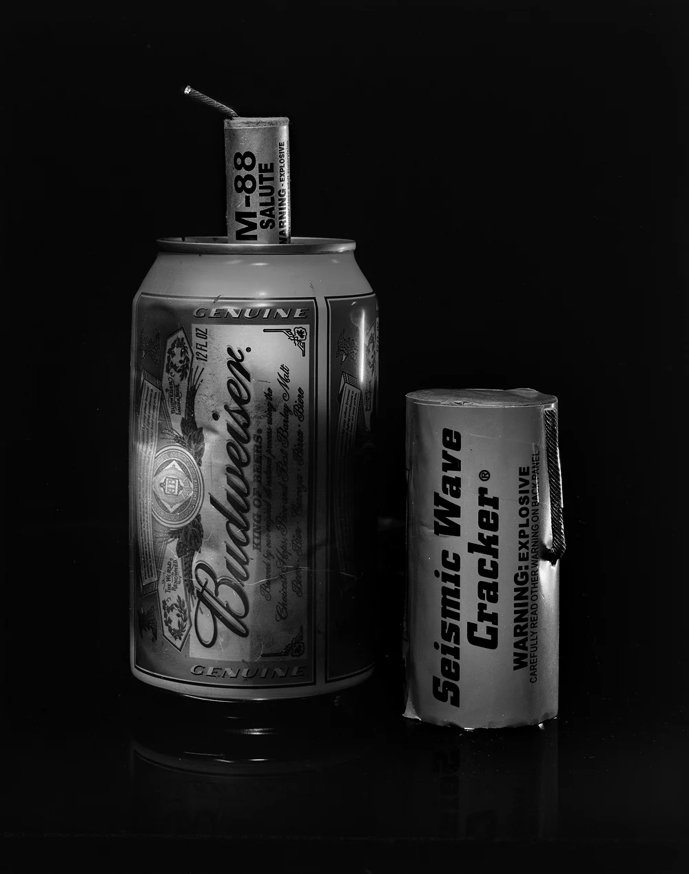 Seismic Wave Cracker & Beer Can-2012