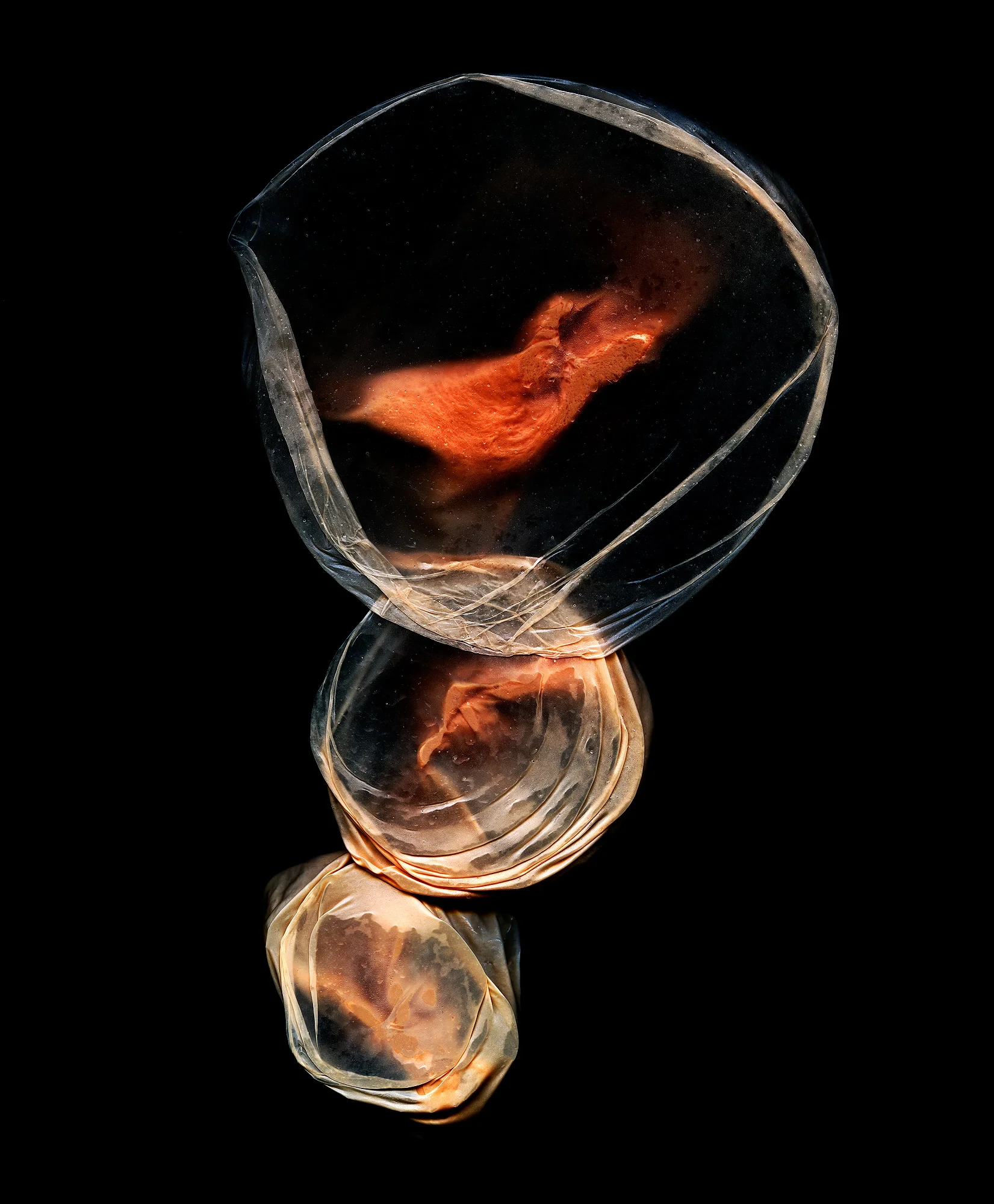 Embryos-2016