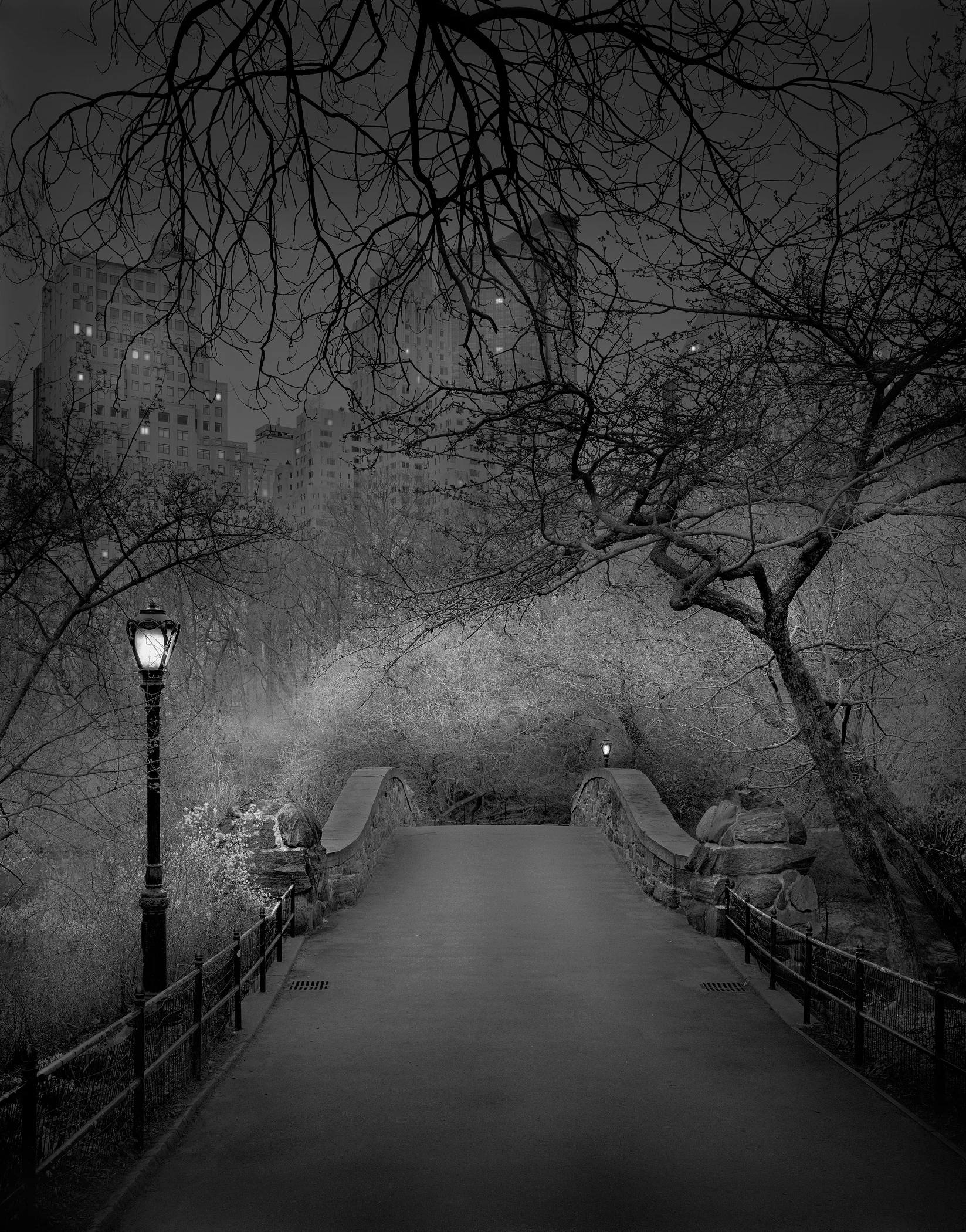 Gapstow Bridge - 2009