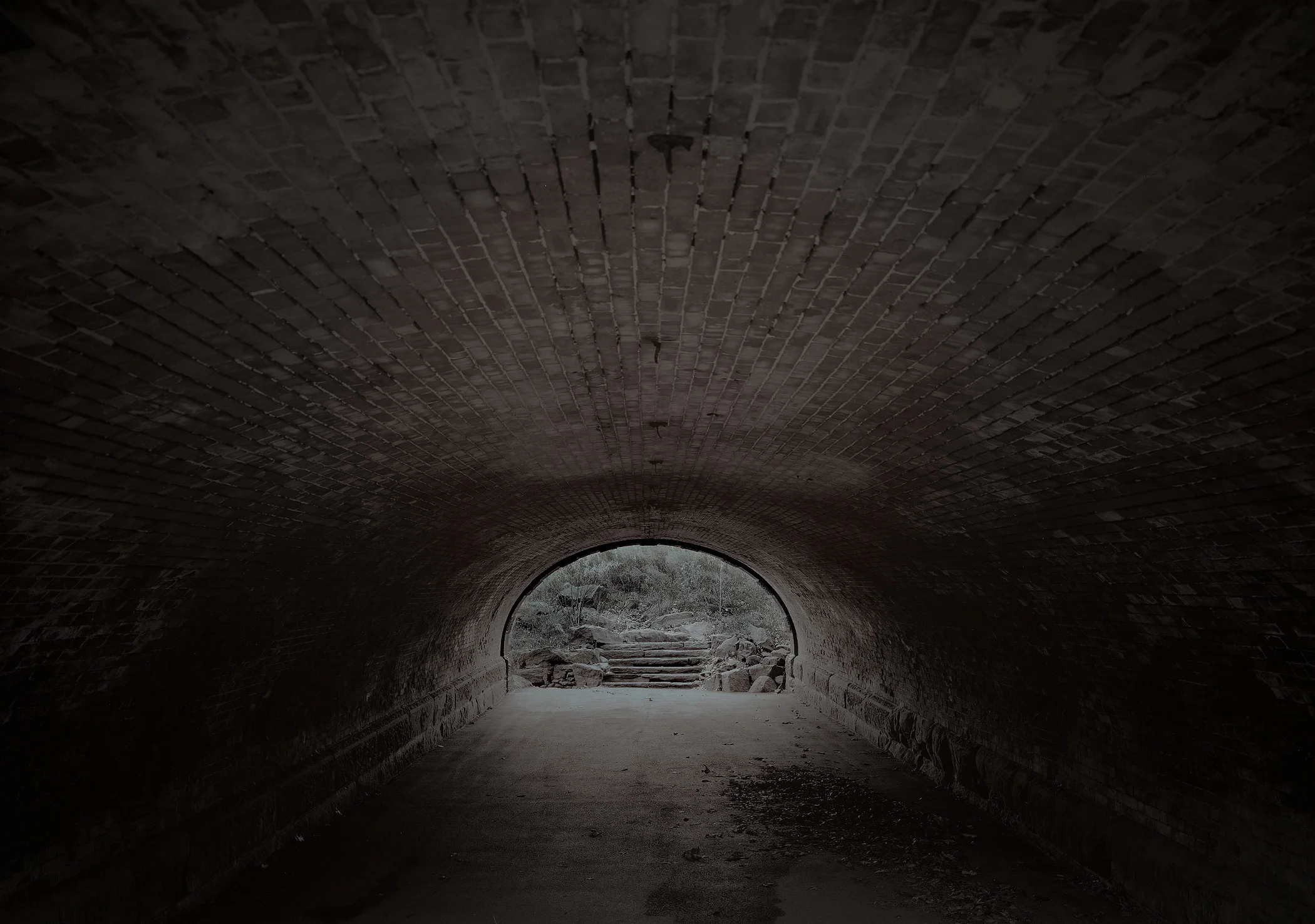 Springbanks Arch-2017