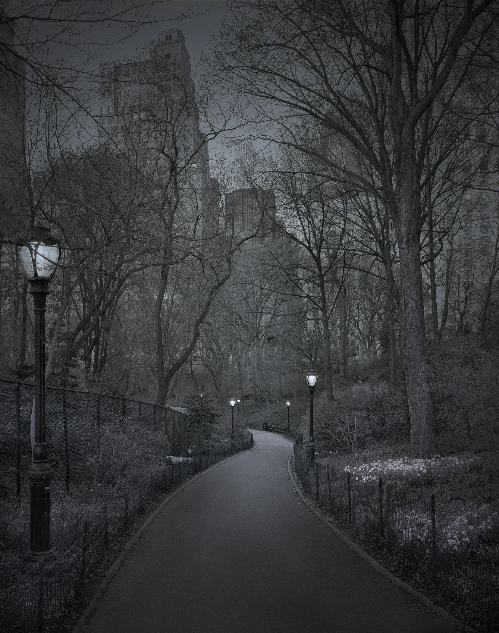 South Path-2009