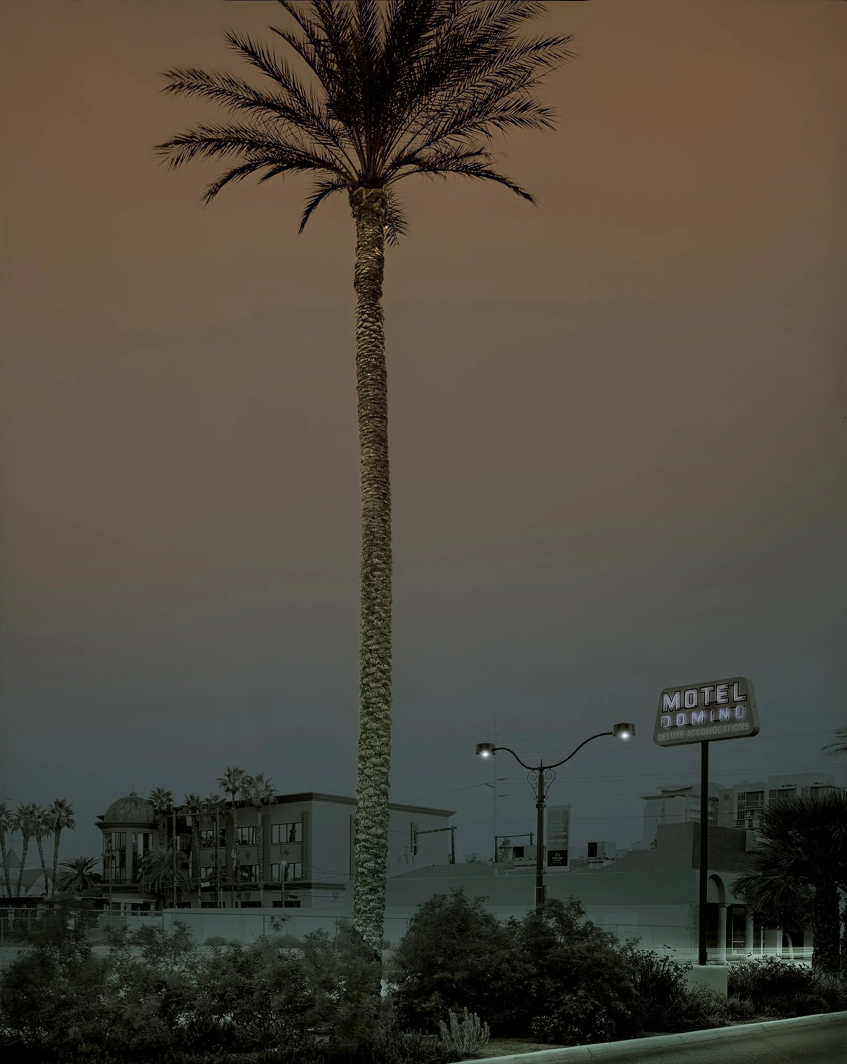 Lone Palm & Domino Motel Sign-2025