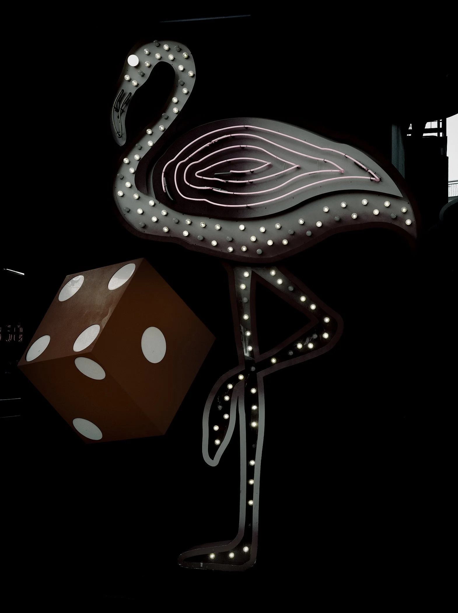 Fremont Street Flamingo-2026