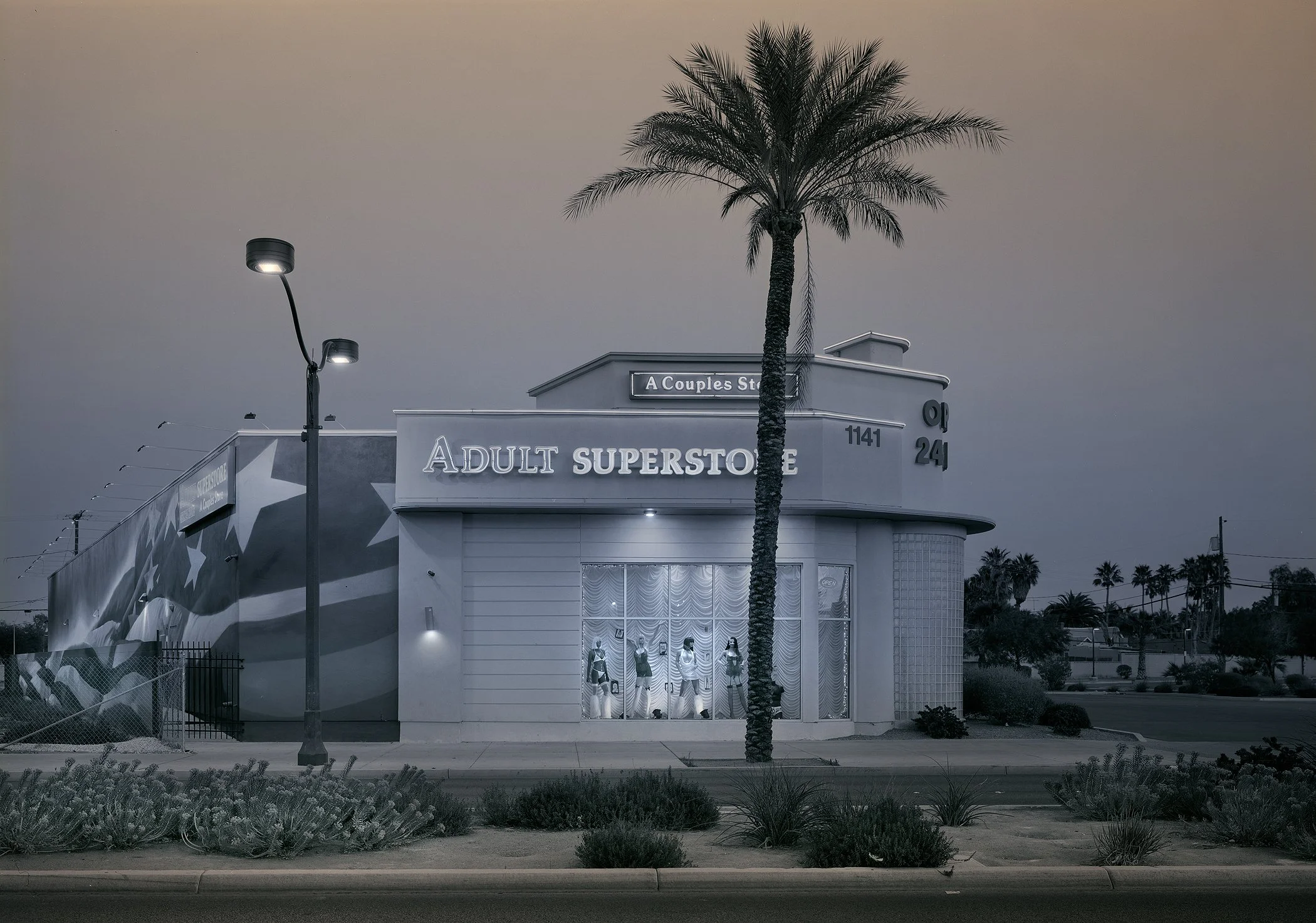 Adult Superstore-2026