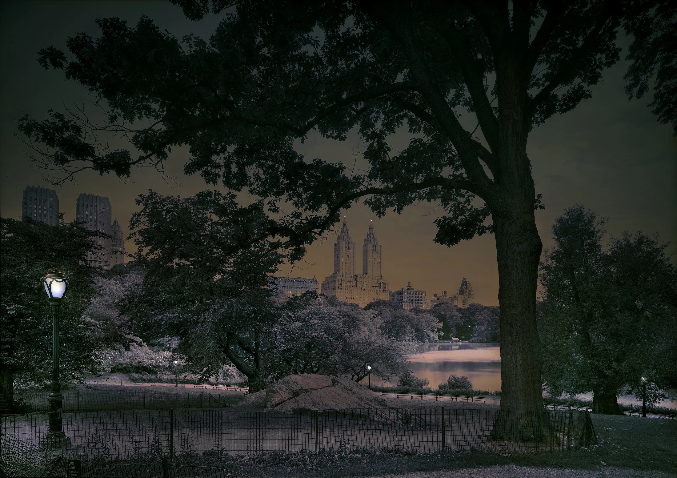 First Light-Final Spring-2026