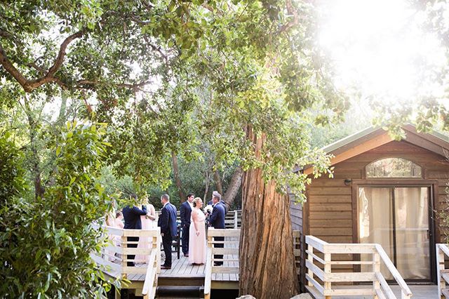 The bridal party waiting to get the party started! 
#aboutlove #aboutlovestudio #weddingday #bride #groom #weddingideas #brideandgroom #instawedding #theknot #weddingphotographer #weddinginspiration #instabride #weddinginspo #weddingphotography #ido 