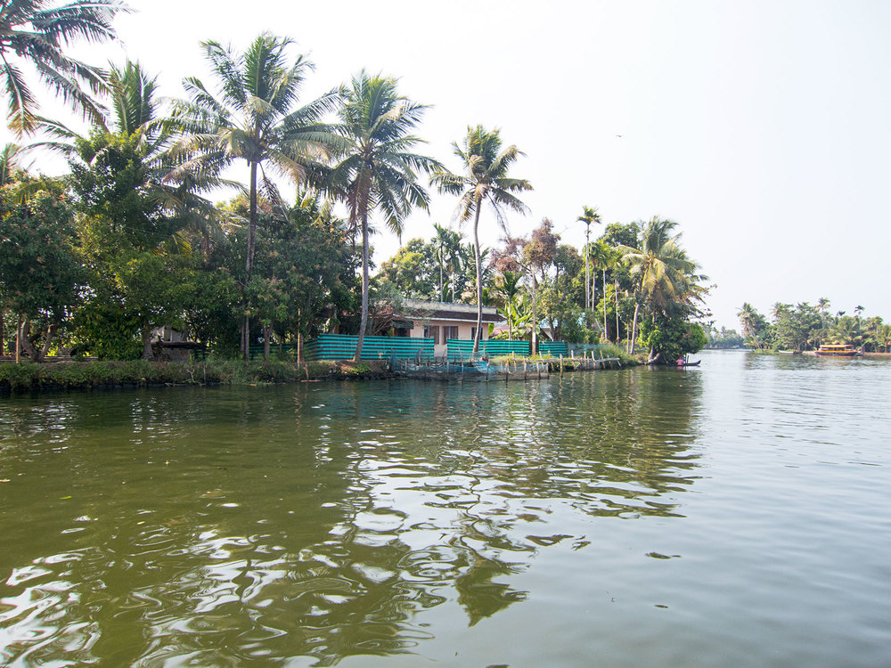 Shore of the Kerala backwater.