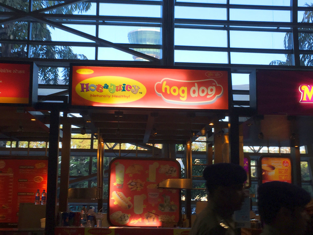 HogDog!  We steered clear of this Indian fast food joint.  A meal eaten at HogDog on a previous trip to India caused quite a problem to a few travelers, myself not included.