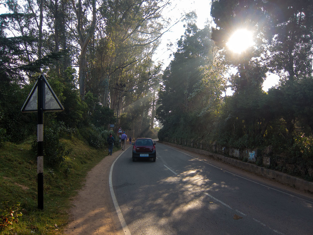 The road down the hill to the Ooty train station from our hotel.