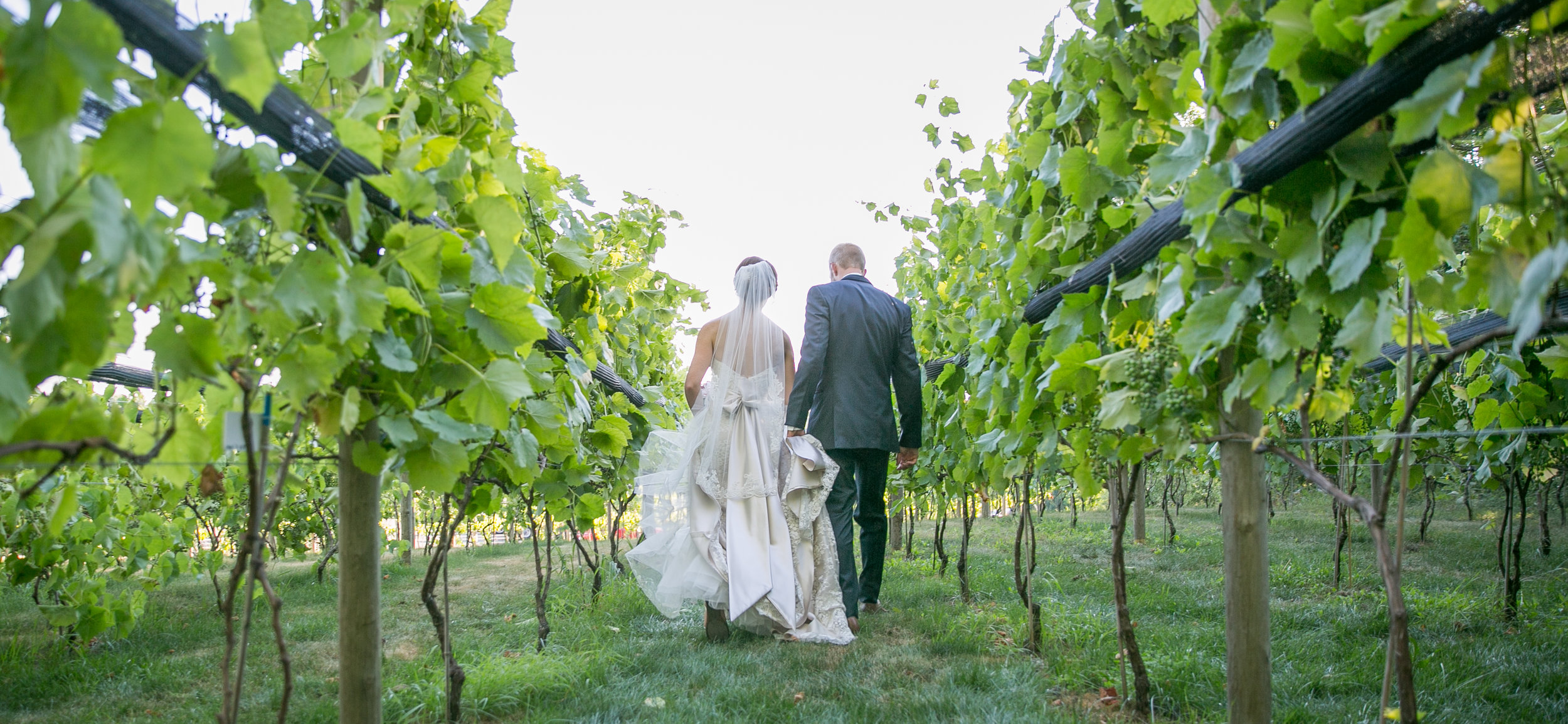 vineyard-wedding-8381.jpg