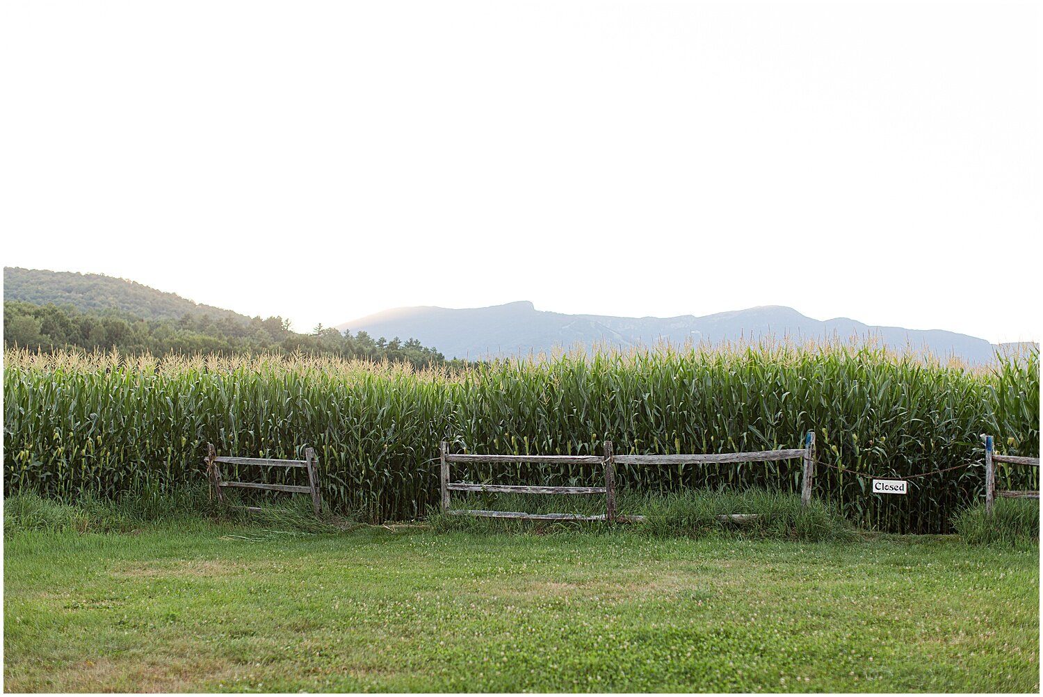 Timberholm-Inn-Stowe-Vermont-Wedding_0095.jpg