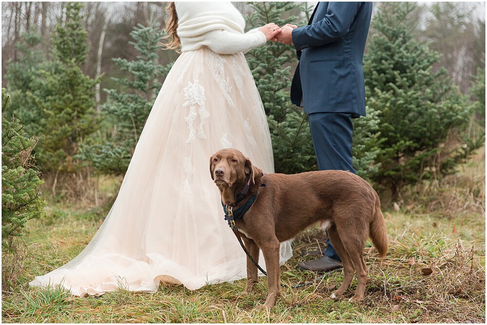 Melissa-Christopher-Williston-Vermont-Wedding-32.jpg