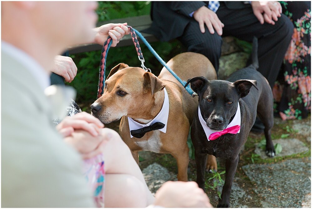 Squam-Lake-New-Hampshire-Wedding-39.jpg