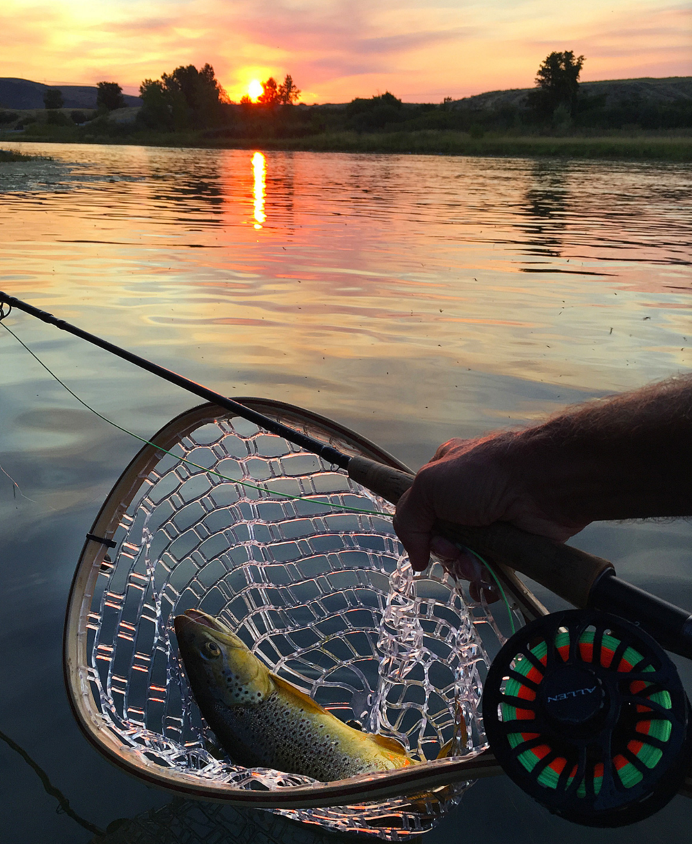 Allen Fly Reel and a Bighorn Brown at Sunset —