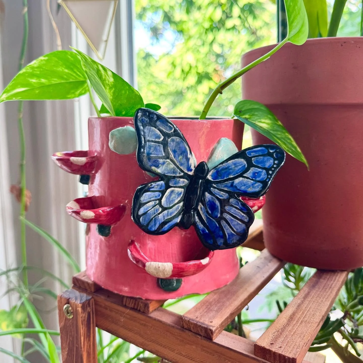 Story time for this one: I recently &ldquo;graduated&rdquo; from therapy (for now lol) and during our last session my therapist of nearly 5 years suggested I start growing a plant to honor the work we&rsquo;d done! I knew I wanted to create a home fo