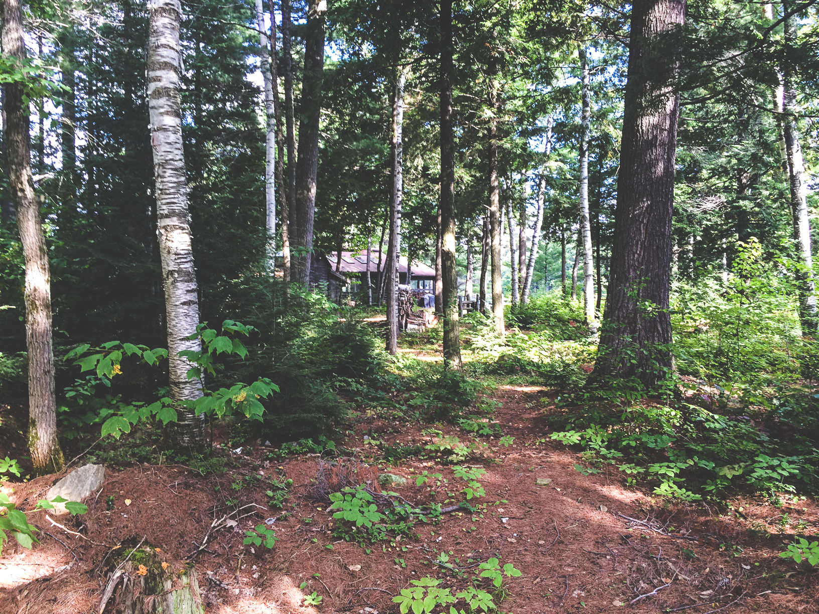 Cottage-31.jpg