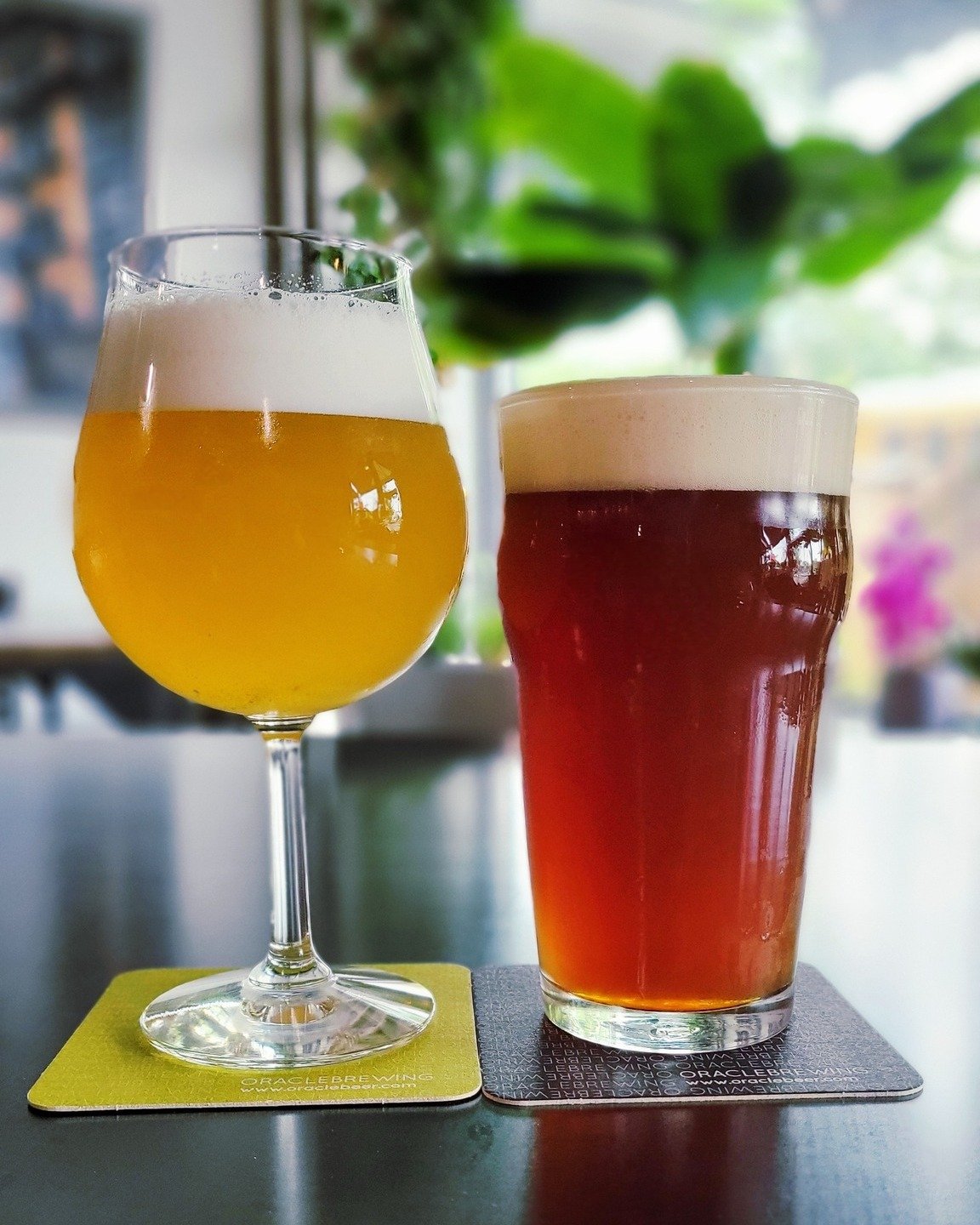 Farmhouse Thing is back, but this time it's dry hopped with Belma hops (featured left). And new on tap that was brewed with a friend is the Soulless red rye IPA (featured right). Tag a friend who you think needs to try these! 

#oraclebrewing #sagina