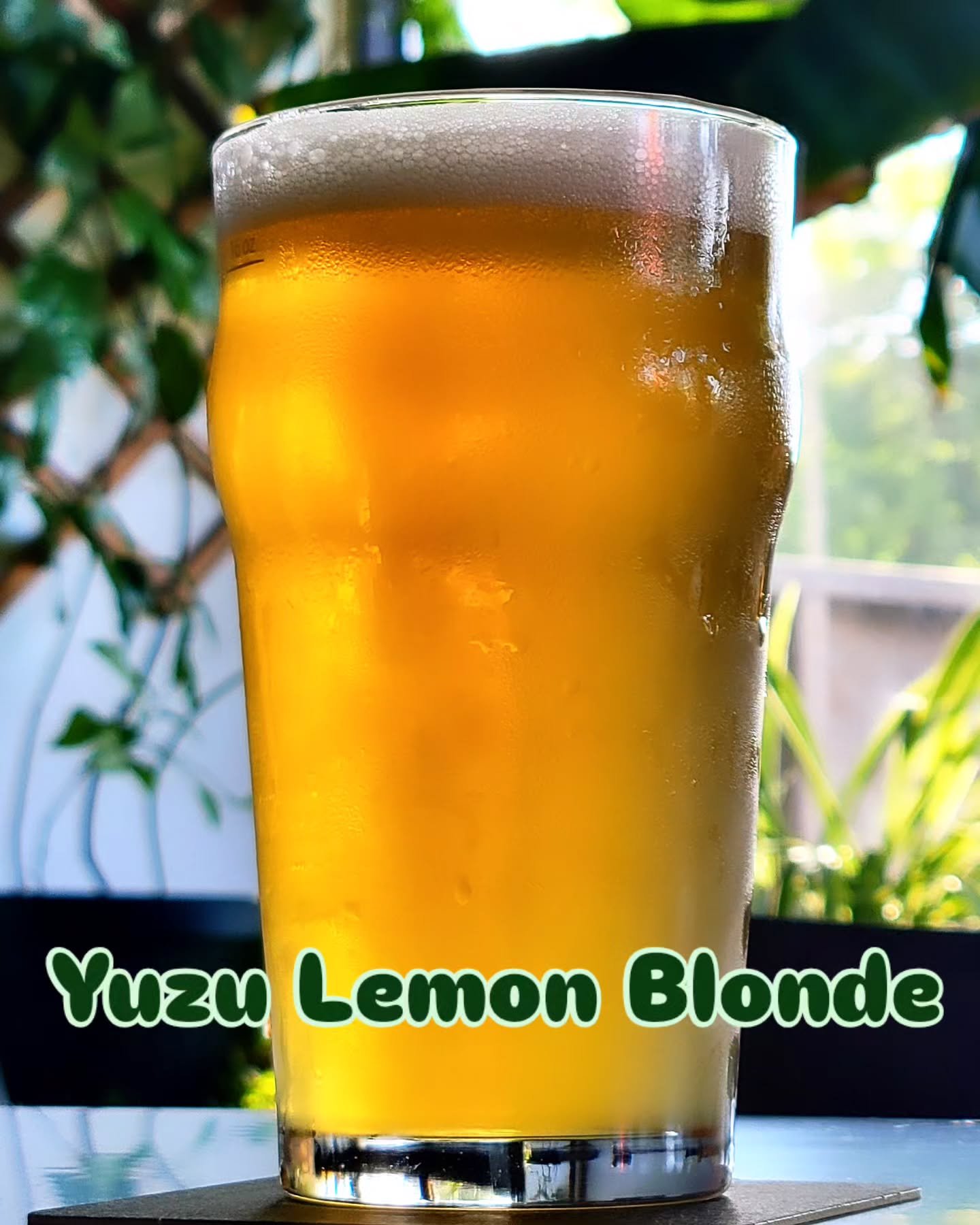 Feeling the heat? Our refreshing Yuzu Lemon Blonde Ale is on tap and cold, with the A/C on full blast to help you beat the summer temps!

#hotsummerdays☀️ #localbeer #craftbeer #refreshing #citrus #drinklocal #drinkmibeer #oldtownsaginaw #michigan #o
