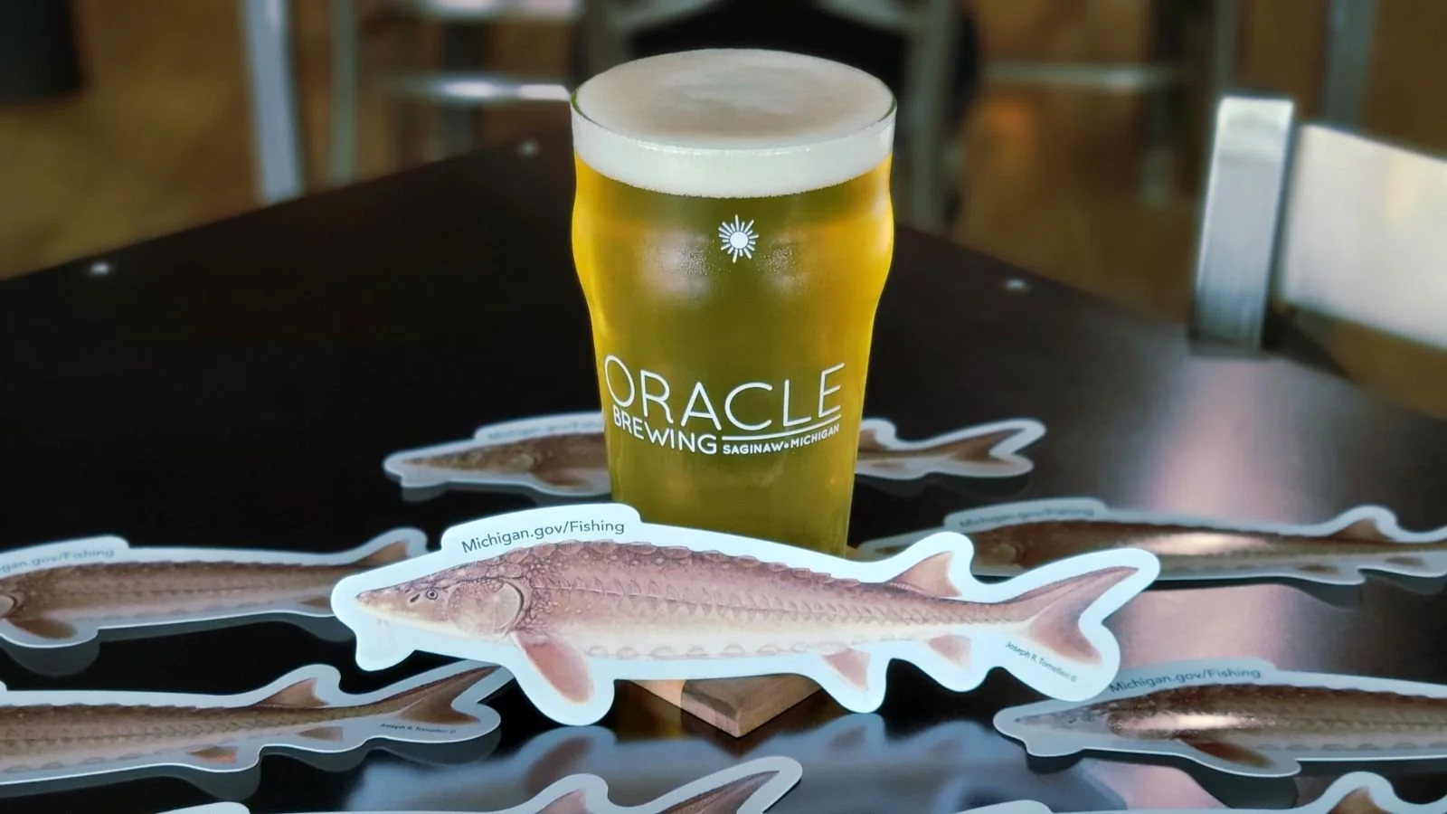 Come grab a pint of Living Dinosaur, the new Lemon Yuzu Gose! This new brew was created to help foster awareness and support of the local lake sturgeon reintroduction project.

This Friday, August 22nd, there will be baby sturgeon releases, open to p