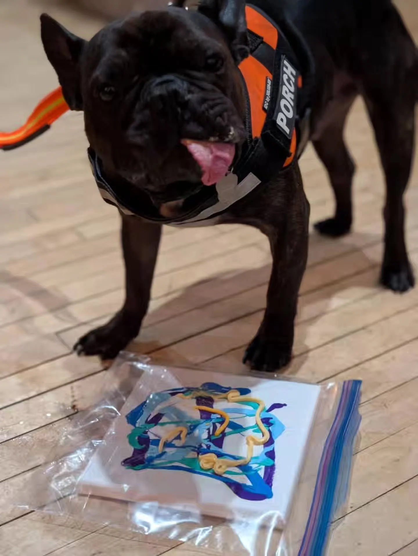 A massive THANK YOU to everyone who joined us last night for the Paws Pints Painting &amp; Pasta event! We loved seeing the amazing artwork created by your talented Paw-casso painters! 🐾🖌️