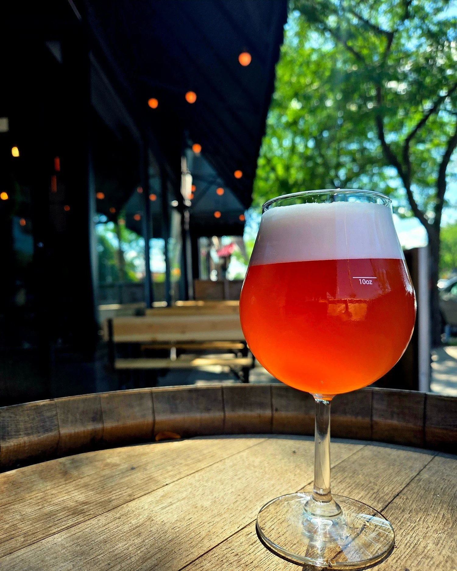 We have a special release today!  Rubia Rosada -Strawberry Rhubarb Lager 6%. We used 19lbs of local rhubarb to make this 13 gallon keg.  With the limited volume, we're keeping this one pub only so everyone has a chance to try it.