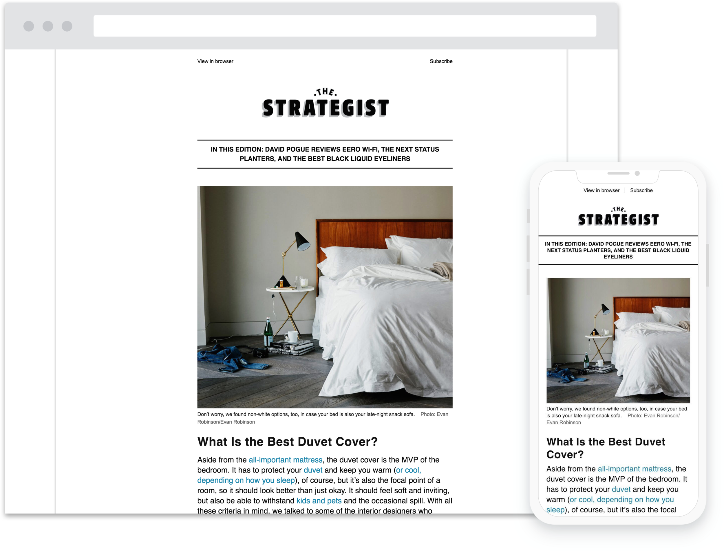newsletters.png