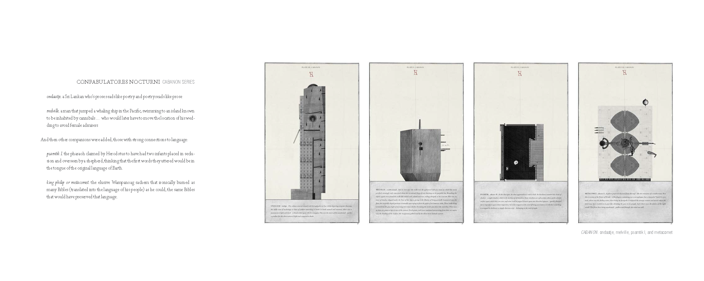 TSL PORTFOLIO 19.png