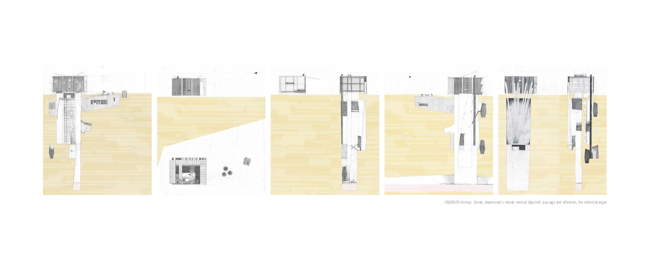 TSL PORTFOLIO 27.png