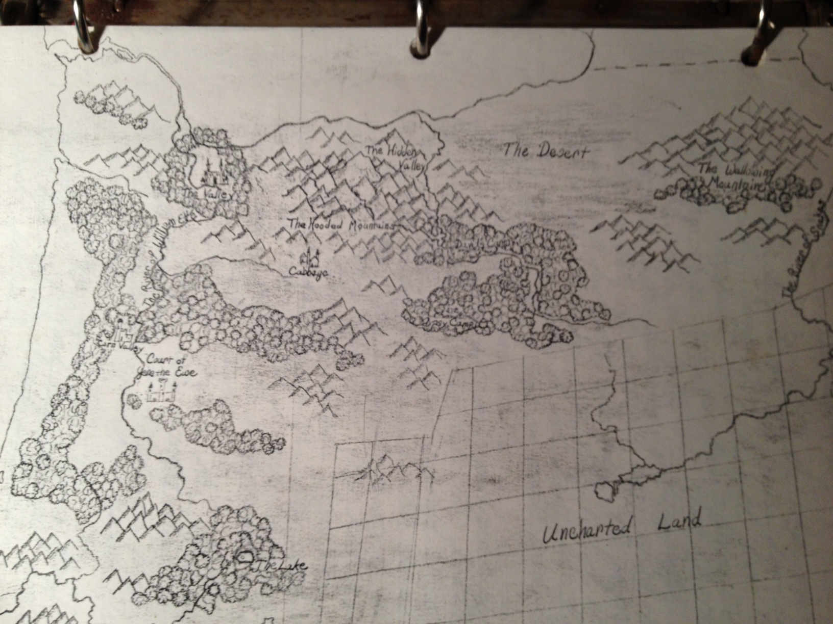 Sara drew this map of the world of Irene, Nan and Kay. It is shaped surprisingly like Oregon!