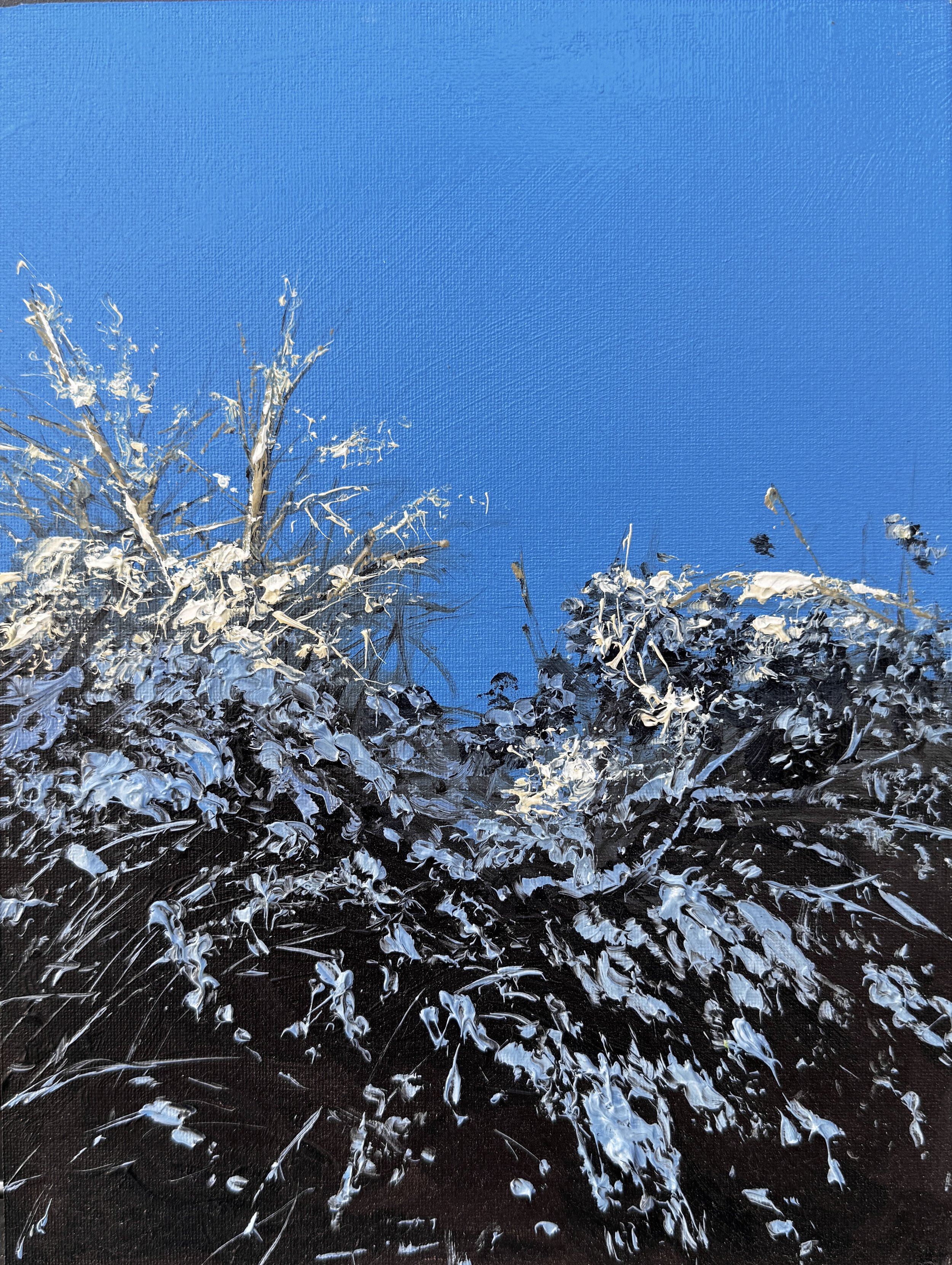 IMG_5573.jpeg