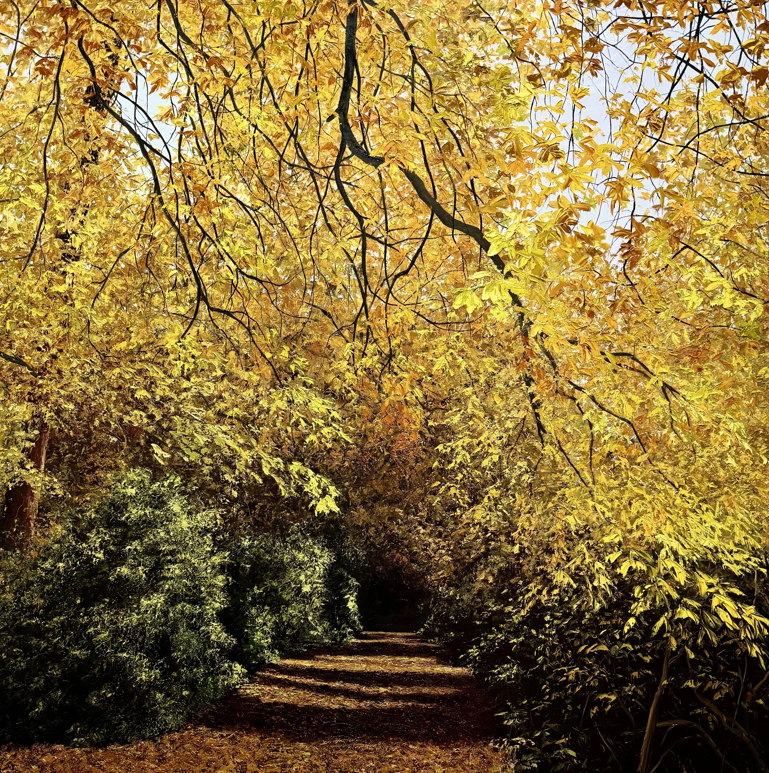 Gold Rush