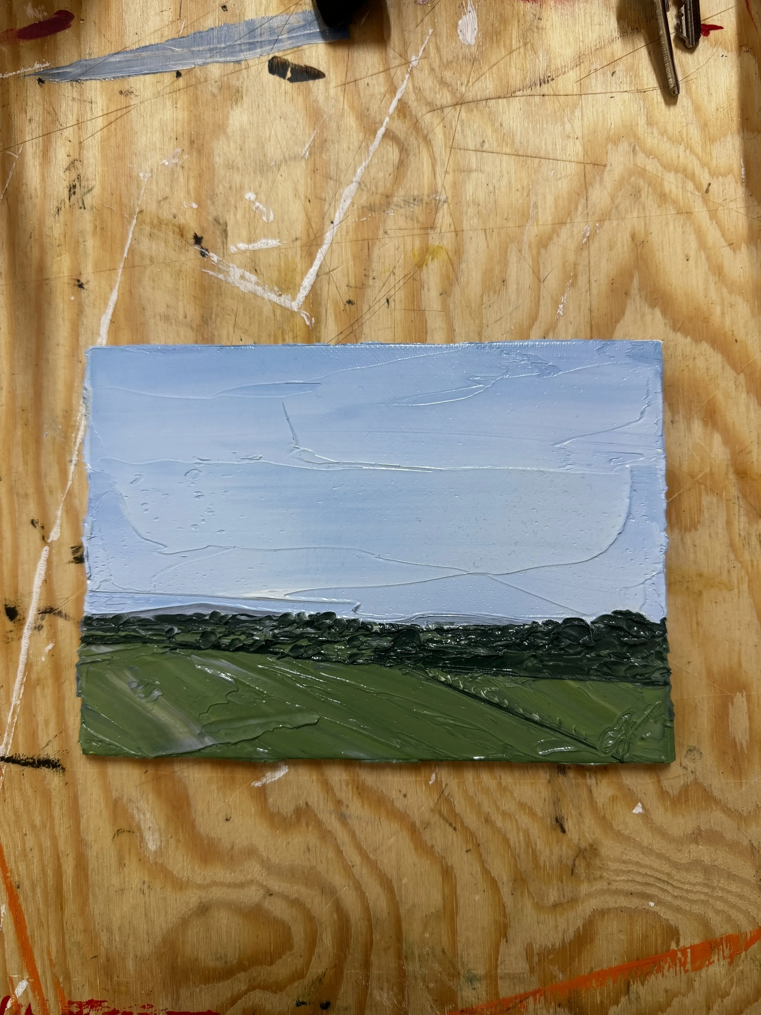 IMG_5453.jpeg