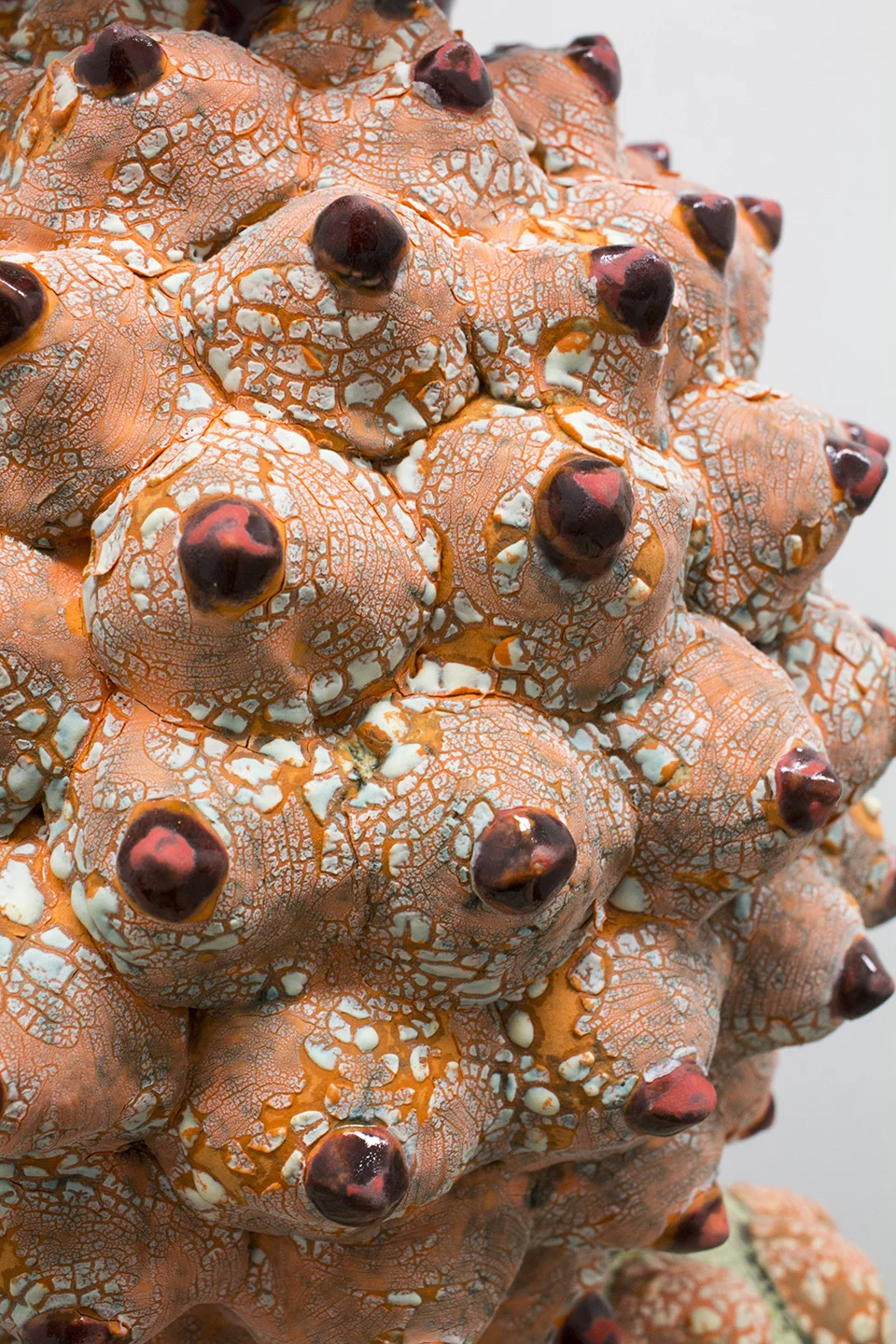 Chamberlain, Over Ripe Detail.jpg