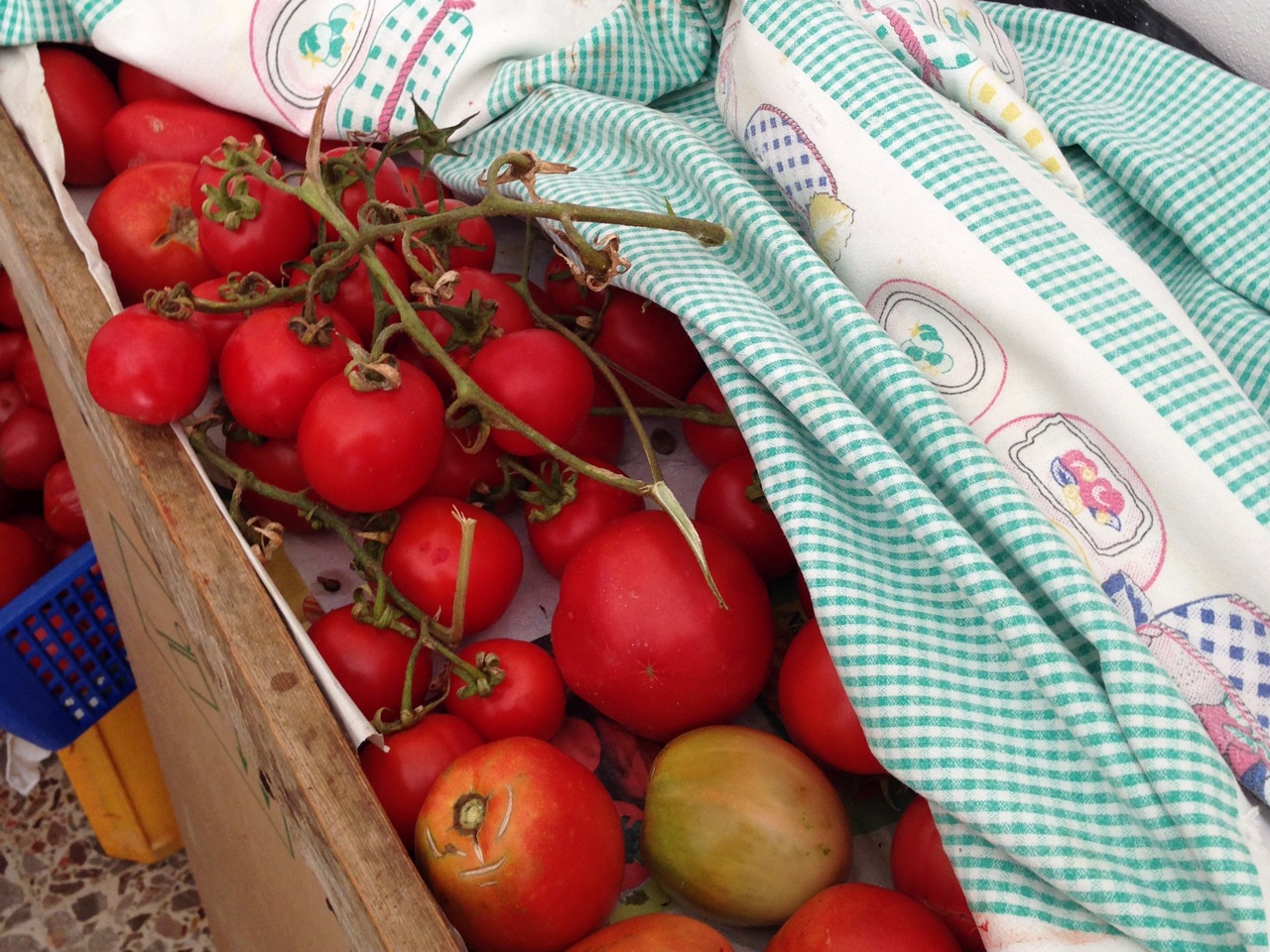 FURCI, ABRUZZO — Pasta Grannies