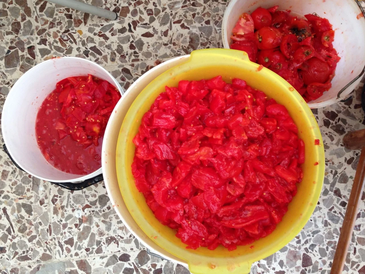 FURCI, ABRUZZO — Pasta Grannies