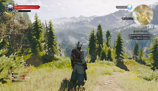 Witcher3_PC_03