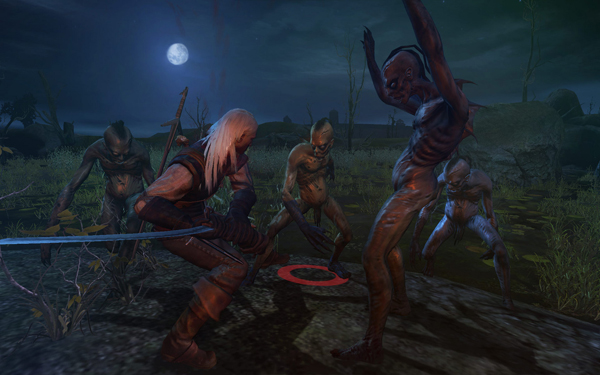 witcher_pc_03