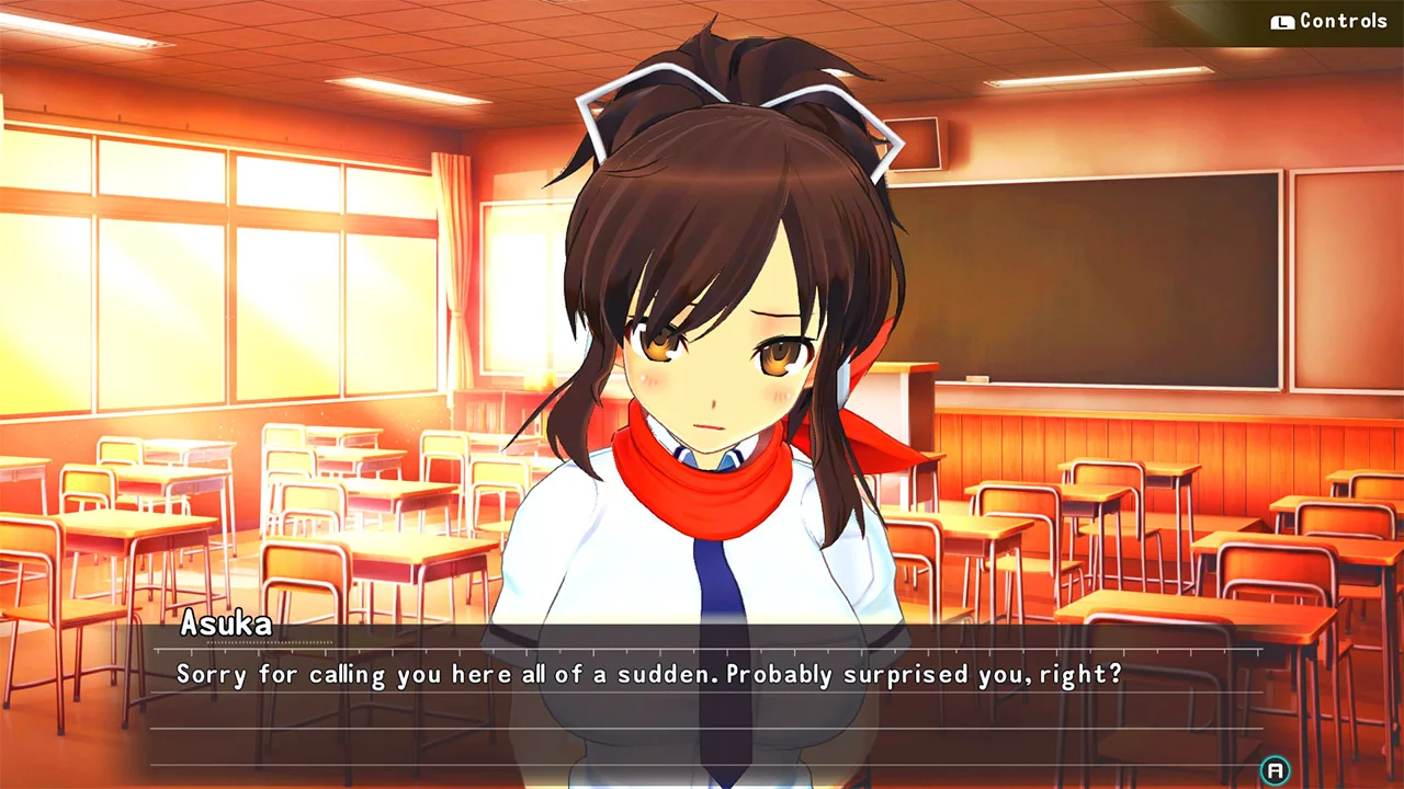 senranreflexions_switch_01.jpg