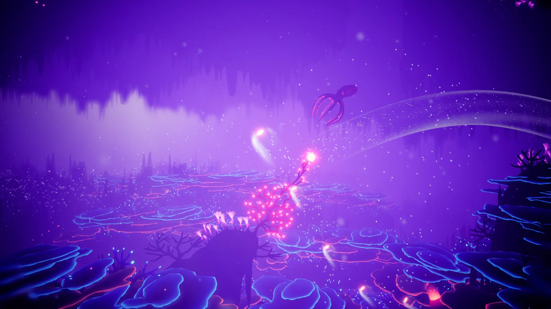Koral-reef-cave-cavern-dungeon-pink-hat-corals-staghorn.jpg