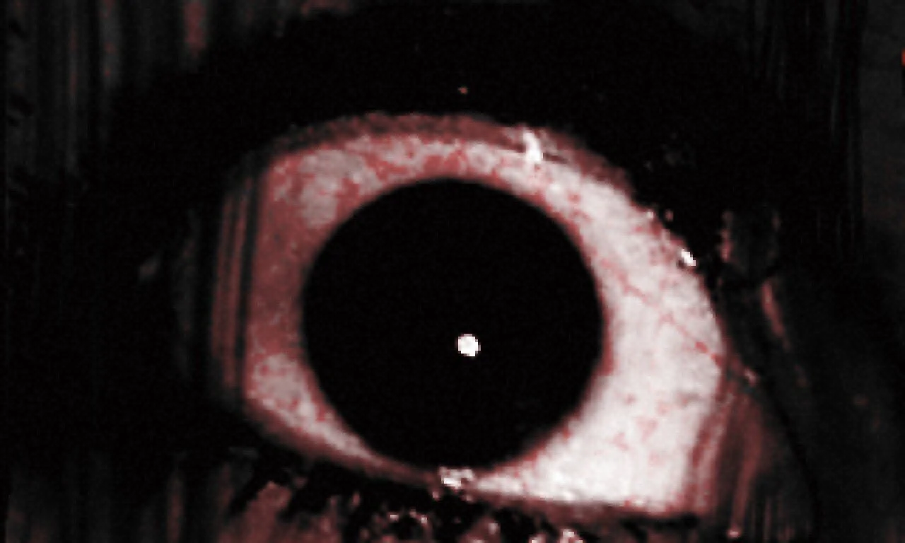 The Black Heart Preview