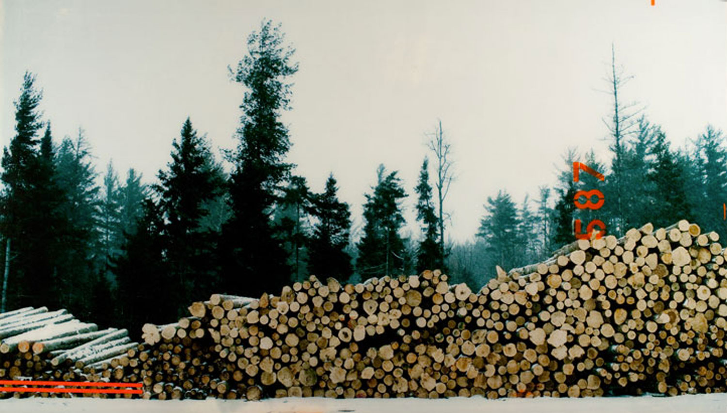Timber