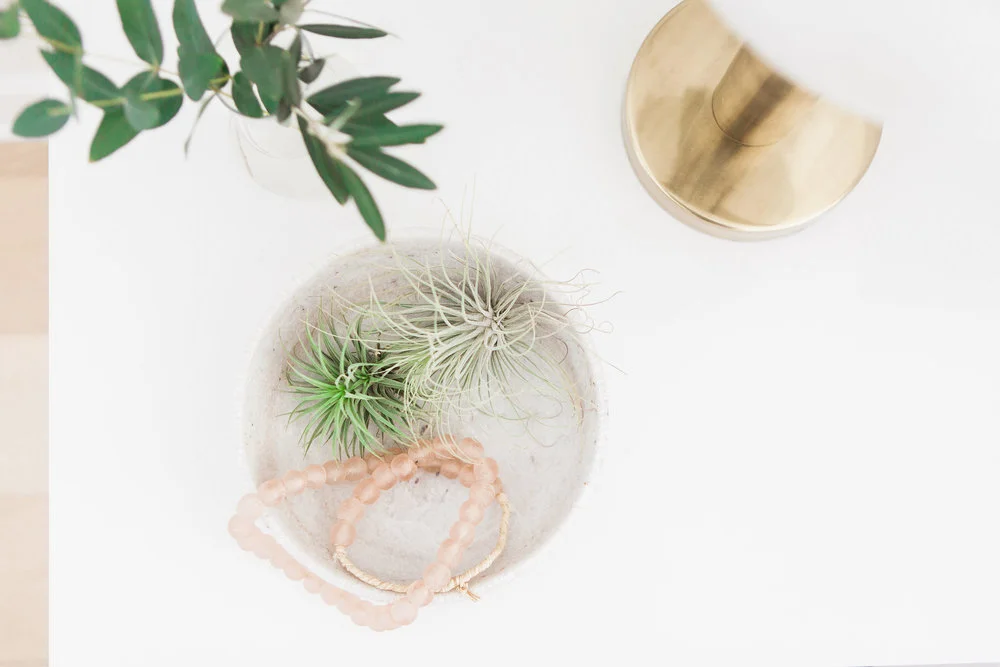 Bree McCool Photography