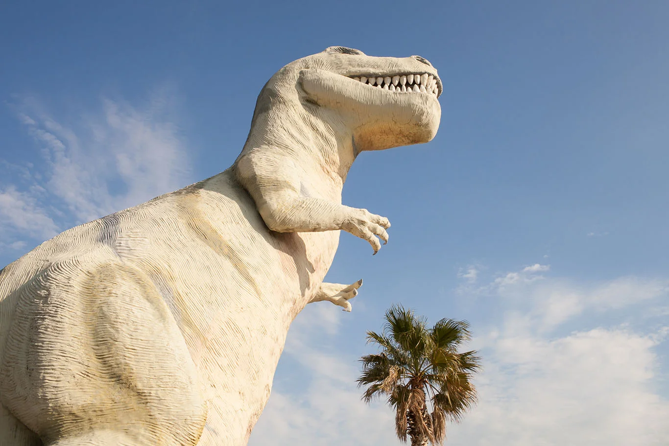 Dino.jpg