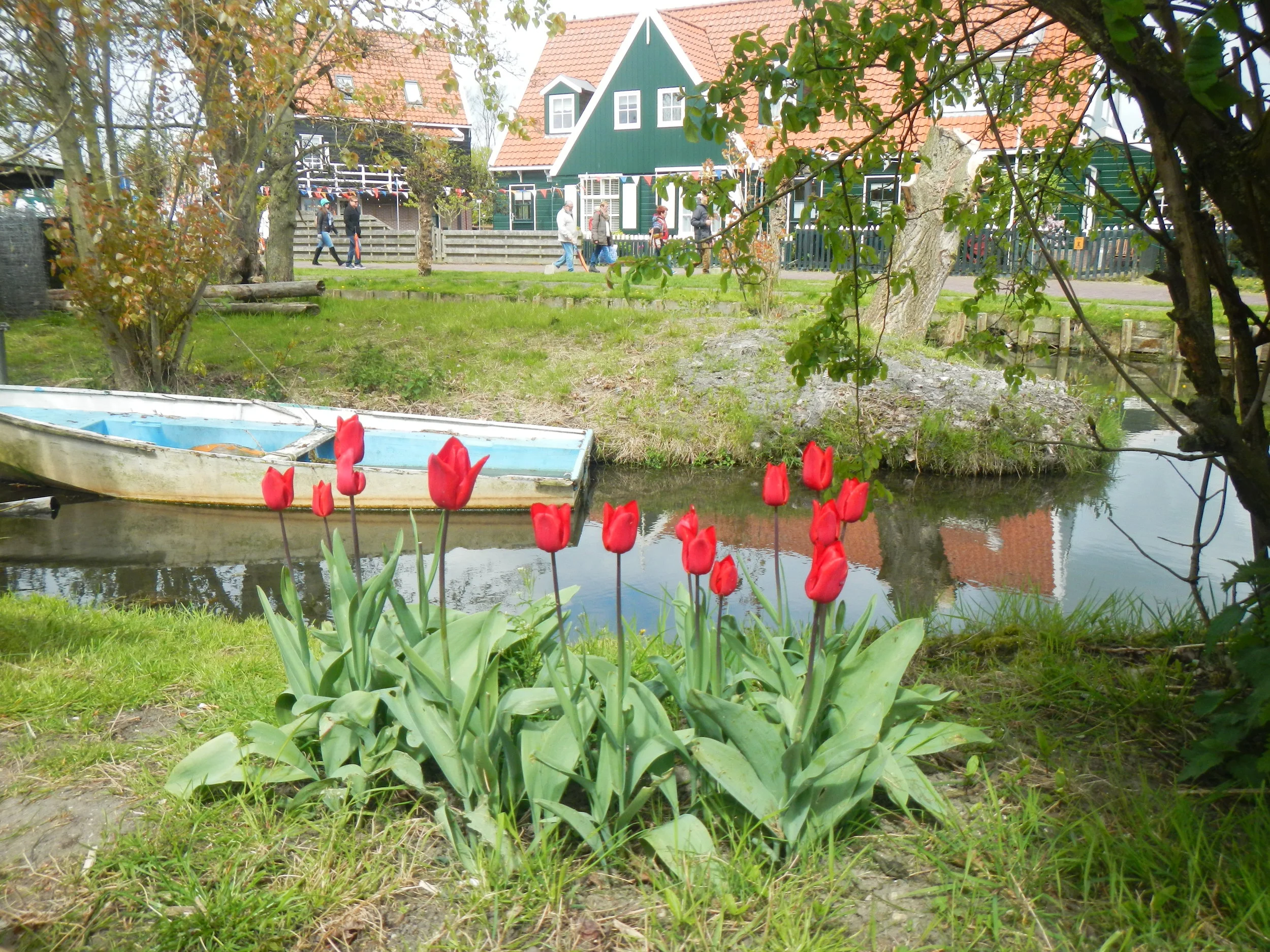 Tulips02.JPG